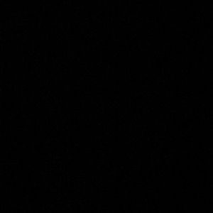 Meet your Posher, Venessa